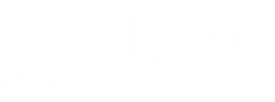 Lixin Beauty Wellness